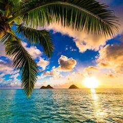 自主練フラダンスサークル 🌺🌈OAHU