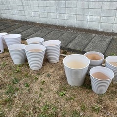 【陶器製•プラ製】胡蝶蘭が入っていた鉢→お纏め渡しOK