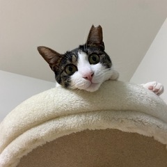 【受付を休止中です】骨折を乗り越えた♪大変優しくて可愛らしすぎる...