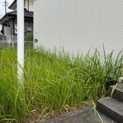 草刈り作業員募集の画像