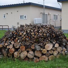キャンプ用焚き木に最適（無料）