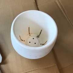 【7/11迄】植物用ポットの画像