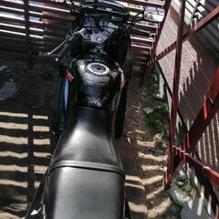 ZZR250　1996年式　全て整備済みお得ですの画像