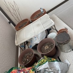 植木鉢、土、色々の画像