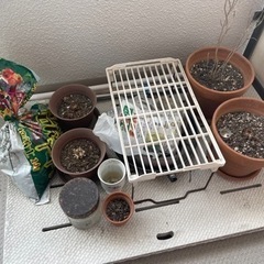 植木鉢、土、色々