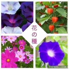 【お取引き中】ユニクロ ワンピース ほか ナルミ サラダ皿など 生活雑貨まとめての画像