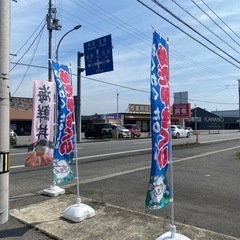 上板めだかセルフすくい