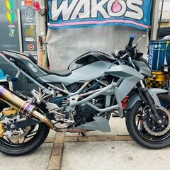 ★実動！ Z250SL スタント仕様！ 走行1.3万km ダブルキャリパー スタントケージ サブケージ 千葉 木更津から ローン可！ 配送可！の画像