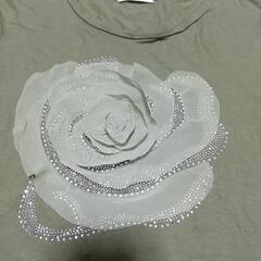 👕Tシャツの画像