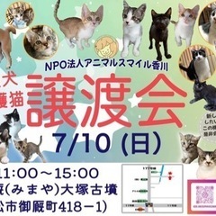 7/10(日) 保護犬保護猫の譲渡会＠アニマルスマイル香川