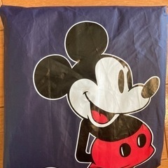 ディズニー　カッパ　レインポンチョ　S あげます