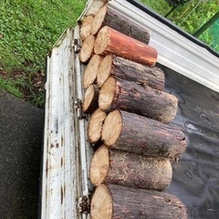 キャンプファイヤー用薪　ヒノキ丸太12本　乾燥済　スウェデントーチの画像