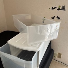 無料の画像