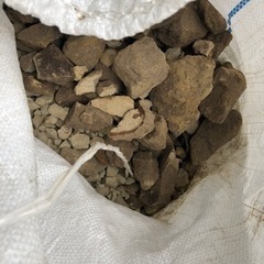 庭から出た石の画像