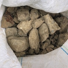 庭から出た石の画像