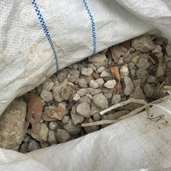 庭から出た石の画像