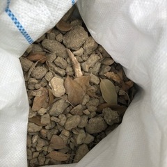 庭から出た石の画像