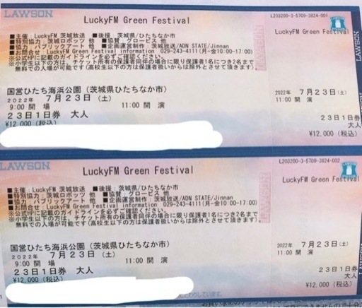 ラキフェス 大人2枚ペアチケット 