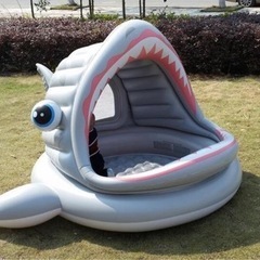 サメが大きく口を開けたプールの画像