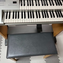 現在お話し中　　YAMAHAステージア　ELB-01 '12製の画像