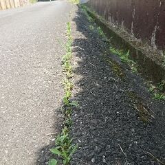 道路のひび割れ処置(雑草対策)