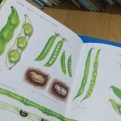 ぐるんぱのようちえんなど絵本12冊の画像