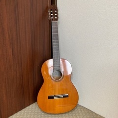 (引き渡し決定)ギター　ソフトケース付きの画像