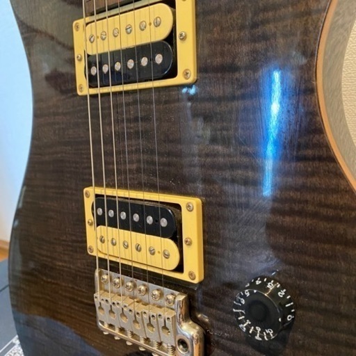 ［緊急値下げ］PRS SE custom 22
