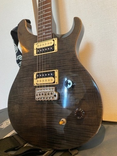 ［緊急値下げ］PRS SE custom 22