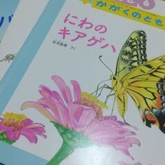 14ひきシリーズなど10冊の画像