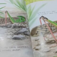 14ひきシリーズなど10冊の画像