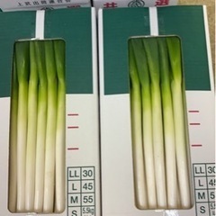 正社員、短期バイト大募集！！時給1050円月給25万円平均年齢23歳の画像
