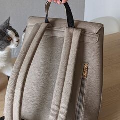 バックパックを譲りますの画像