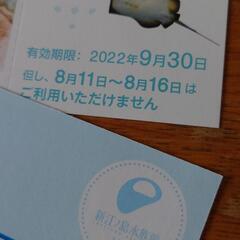 新江ノ島水族館 ペア ご招待券 チケットの画像