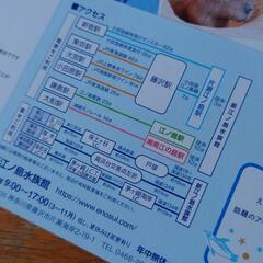 新江ノ島水族館 ペア ご招待券 チケットの画像