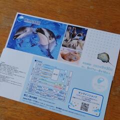 新江ノ島水族館 ペア ご招待券 チケット
