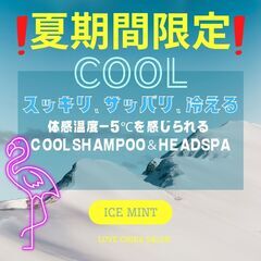 ついに登場！！クールシャンプー❄️