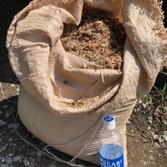 畑やガーデニングに！ウッドチップの画像