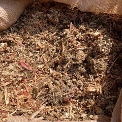 畑やガーデニングに！ウッドチップの画像
