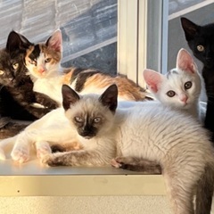 可愛い5兄妹‼︎