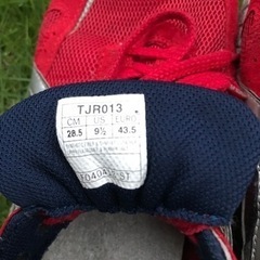 asicsスカイセンサーの画像