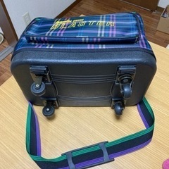 ボーリングキャリーバッグ🎳の画像