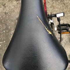 パープル　マウンテンバイク　スポルディングの画像