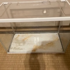 飼育ケース　水槽の画像