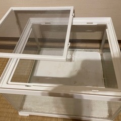 飼育ケース　水槽