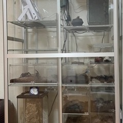 ピカ ガラス温室 ヒーターセット