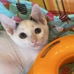 亡くなった兄弟の分まで幸せに…