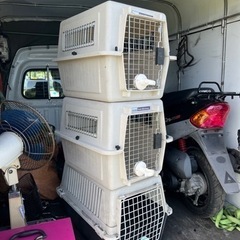 ペットメイト ケージ 犬 猫 