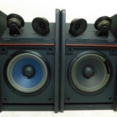 Speaker 301-AVM