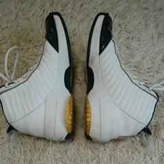 28.0cm【エアジョーダン】バッシュの画像